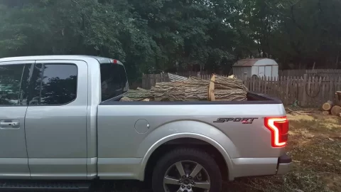 [Hearth.com] Black locust jackpot!