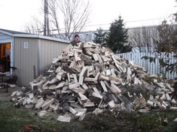 [Hearth.com] Bought a Tarp Shed to store my wood!!!