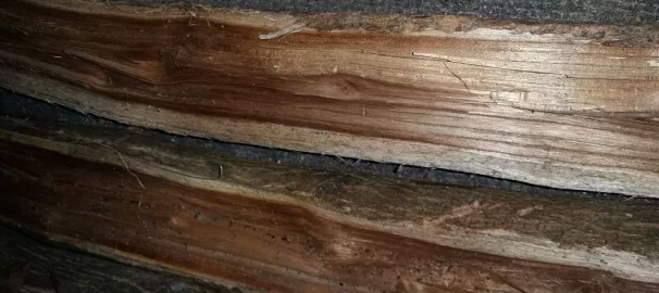 [Hearth.com] Wood ID please.....