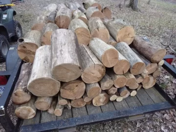 [Hearth.com] Red elm....please help me identify