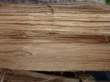 [Hearth.com] Red elm....please help me identify