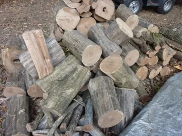 [Hearth.com] Red elm....please help me identify