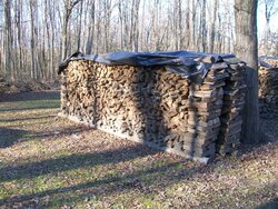 Wood storage over winter