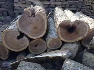 [Hearth.com] Need a little id help.