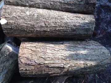 [Hearth.com] Need a little id help.