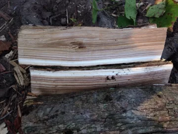 [Hearth.com] Need a little id help.