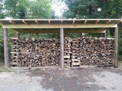 Finally did a wood shed