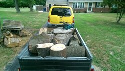 Thank goodness Tractor Supply told me "now is the time to cut, split and burn wood"!