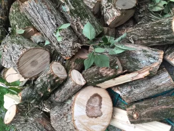[Hearth.com] Wood Id??