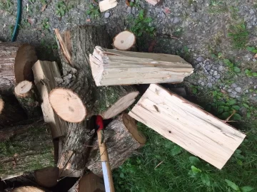[Hearth.com] Wood Id??