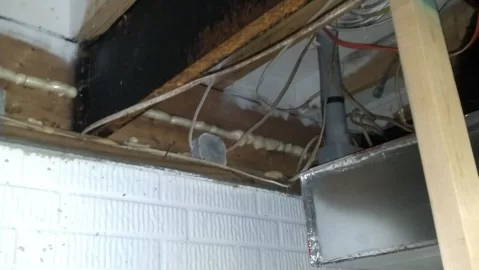 [Hearth.com] Forced air furnace advice