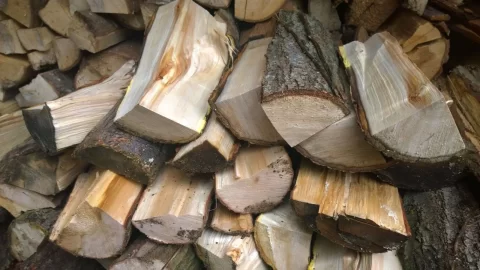 [Hearth.com] 2x wood ID please