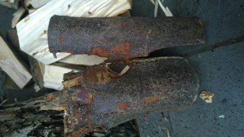[Hearth.com] 2x wood ID please
