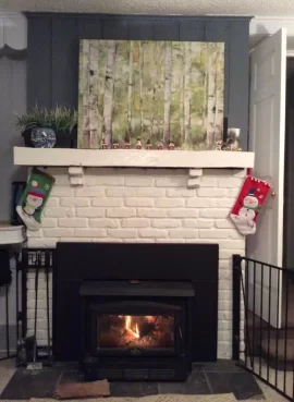 [Hearth.com] How would you install this insert?