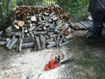 [Hearth.com] Wishing I was fishing but couldn't resist free wood so close to home.