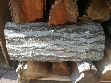 [Hearth.com] wood ID