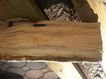 [Hearth.com] wood ID