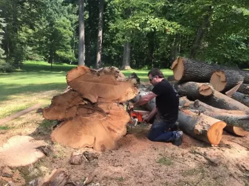 [Hearth.com] Log Load On The Way