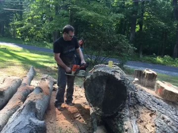 [Hearth.com] Log Load On The Way