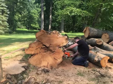[Hearth.com] Log Load On The Way