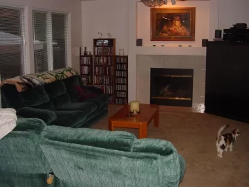 [Hearth.com] My wood stove story