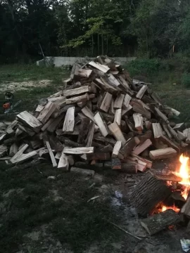 [Hearth.com] 1st Scrounge Ever