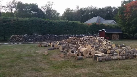 [Hearth.com] My neighbor so hooked me up!