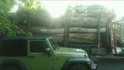 Buddy just got a log truck load