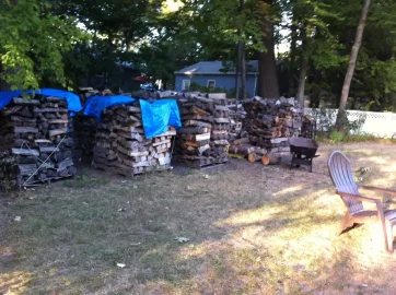 [Hearth.com] Pic only...show the wood...