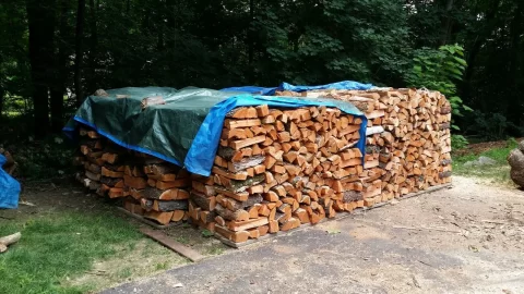 [Hearth.com] Pic only...show the wood...