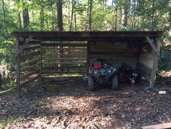 New wood shed