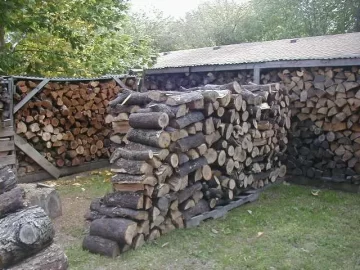 [Hearth.com] More to cut than I will ever need