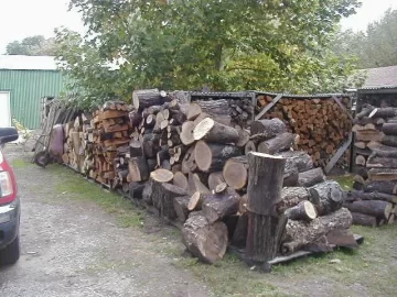 [Hearth.com] More to cut than I will ever need
