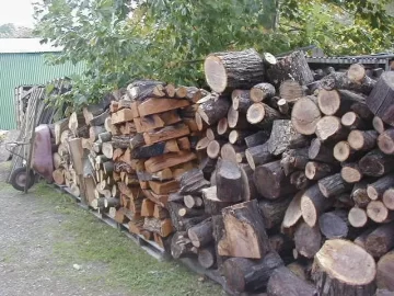 [Hearth.com] More to cut than I will ever need