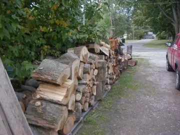 [Hearth.com] More to cut than I will ever need
