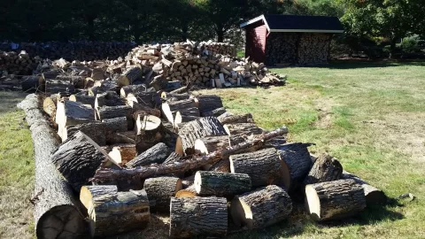 [Hearth.com] Sharing Pictures of Fall Splitting
