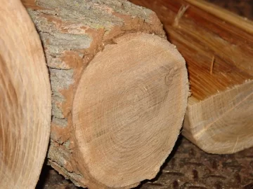 [Hearth.com] Elm yes, but Red or other?