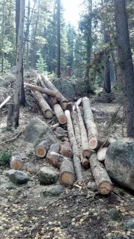 [Hearth.com] How often do you sharpen your chainsaw