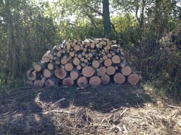 [Hearth.com] First cut of the fall