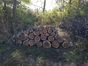 [Hearth.com] First cut of the fall