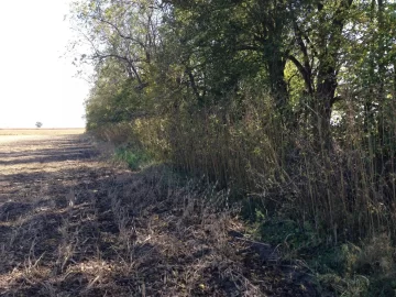 [Hearth.com] First cut of the fall