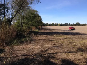 [Hearth.com] First cut of the fall