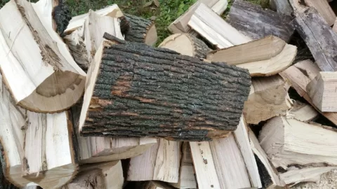 [Hearth.com] Wood Id