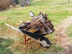 of wood in and the old handle finally broke on the light wheelbarrow ___.jpg