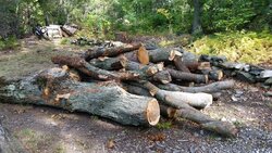 Official Connecticut Firewood Thread