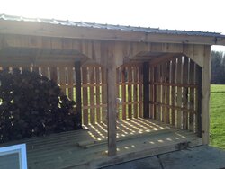 Started new wood shed
