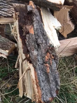 [Hearth.com] Wood ID help please