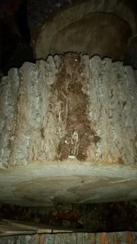 [Hearth.com] Easiest way to remove bark from green rounds?