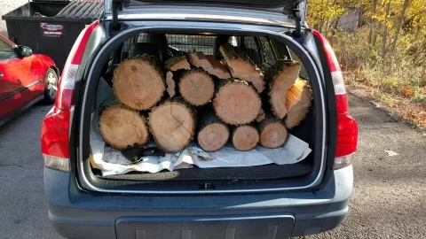 [Hearth.com] What kind of wood is this. I think/hope is ash