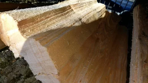 [Hearth.com] What kind of wood is this. I think/hope is ash